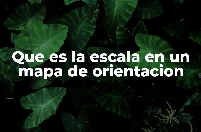 Que es la Escala en un Mapa de Orientacion