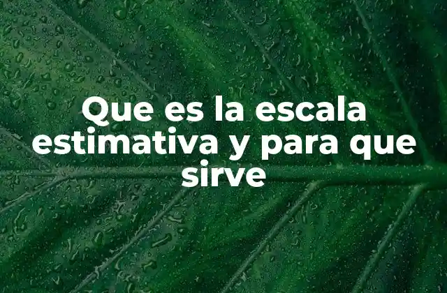 Que es la Escala Estimativa y para que Sirve
