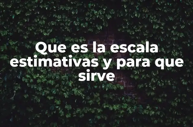 Cómo se aplican las escalas estimativas en la gestión de proyectos