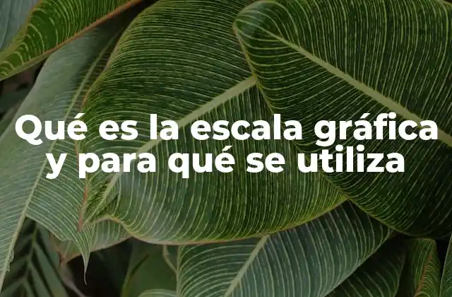 Qué es la Escala Gráfica y para Qué Se Utiliza
