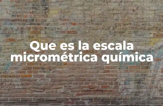 Que es la Escala Micrométrica Química