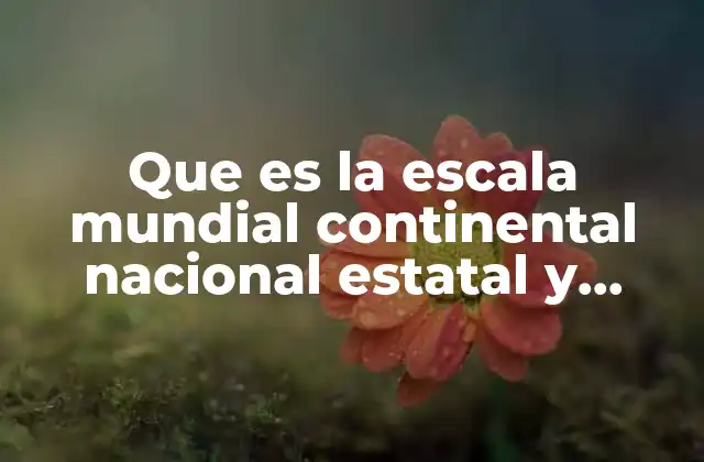 Que es la Escala Mundial Continental Nacional Estatal y Municipal