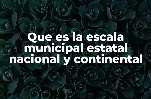 Que es la Escala Municipal Estatal Nacional y Continental