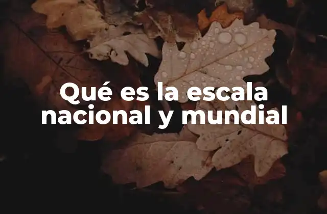 Qué es la Escala Nacional y Mundial