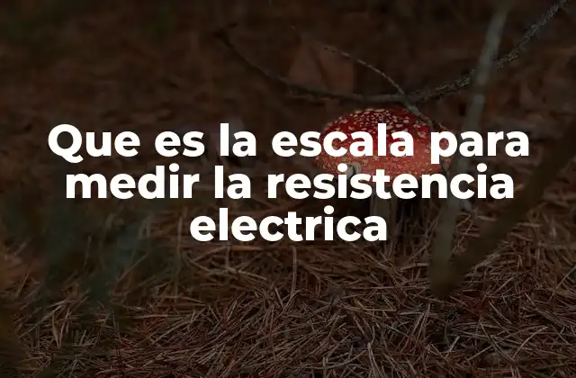 Que es la Escala para Medir la Resistencia Electrica