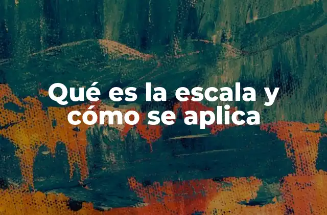 Qué es la Escala y Cómo Se Aplica