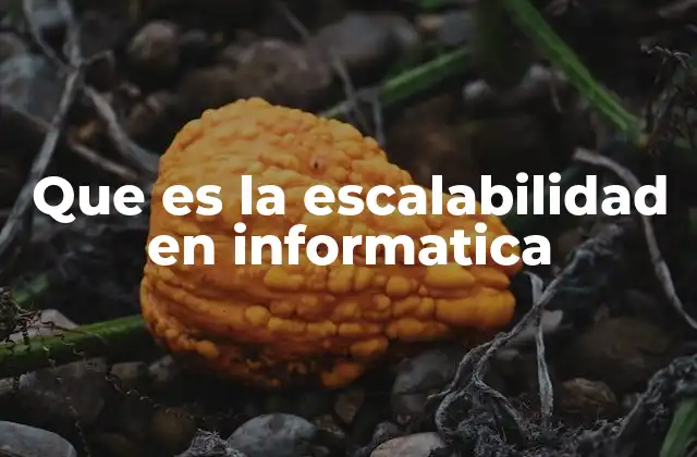 Que es la Escalabilidad en Informatica