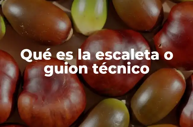 Qué es la Escaleta o Guion Técnico