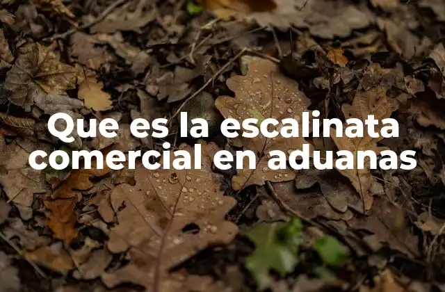 Que es la Escalinata Comercial en Aduanas