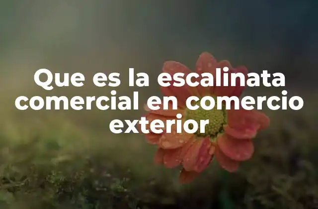 Que es la Escalinata Comercial en Comercio Exterior
