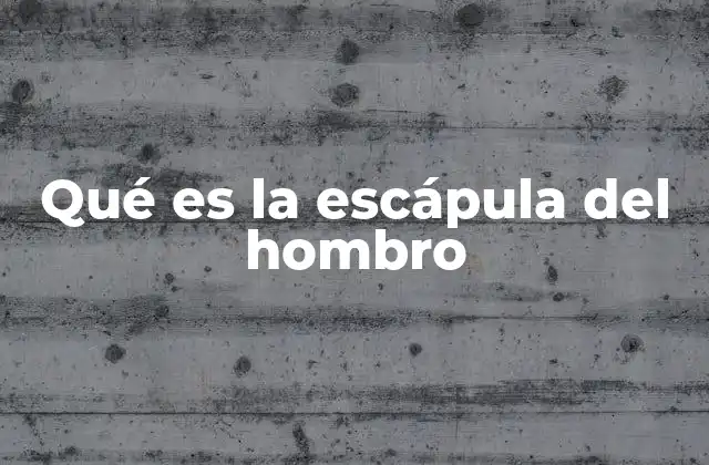 La escápula y su relación con la movilidad del hombro
