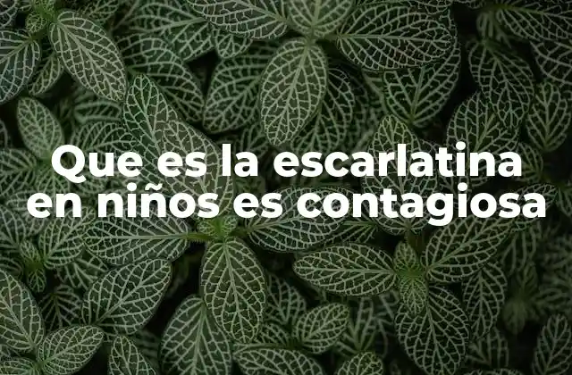 Que es la Escarlatina en Niños es Contagiosa 2 Cómo se transmite la escarlatina y qué factores la favorecen