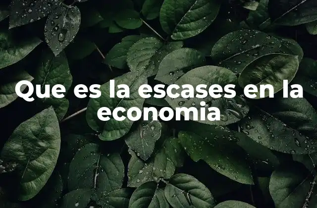 Que es la Escases en la Economia