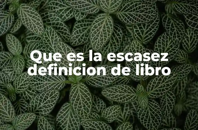 Que es la Escasez Definicion de Libro