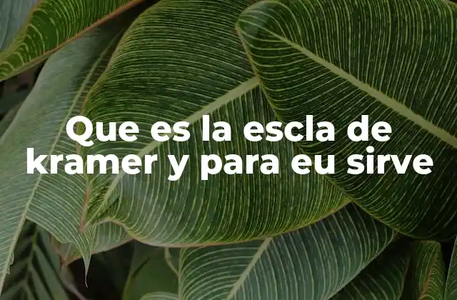 Que es la Escla de Kramer y para Eu Sirve 2 La importancia de evaluar el estado nutricional en el entorno clínico