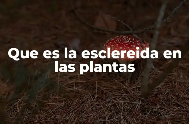 Que es la Esclereida en las Plantas