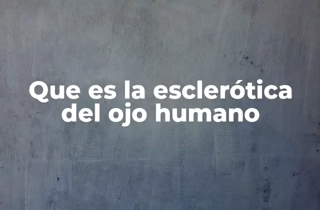 Que es la Esclerótica Del Ojo Humano