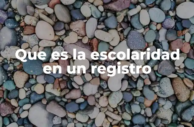 Que es la Escolaridad en un Registro