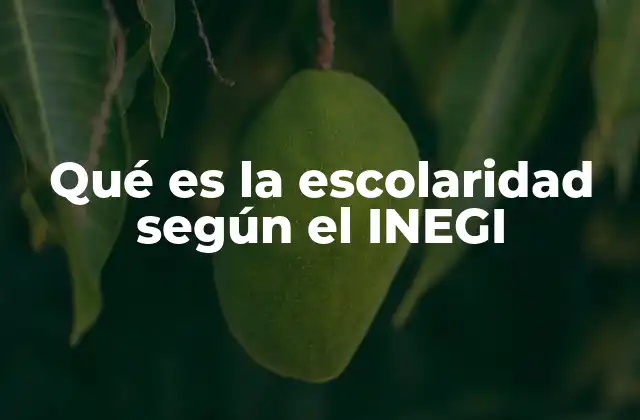 Qué es la Escolaridad según el Inegi