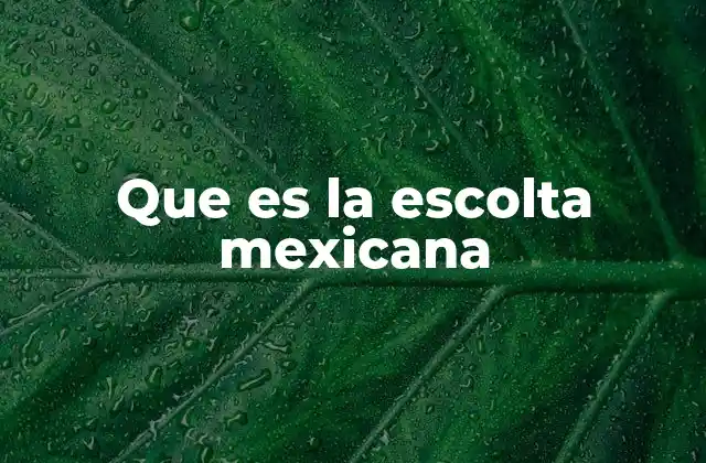 Que es la Escolta Mexicana 2 El papel de las fuerzas de seguridad en la protección del Estado