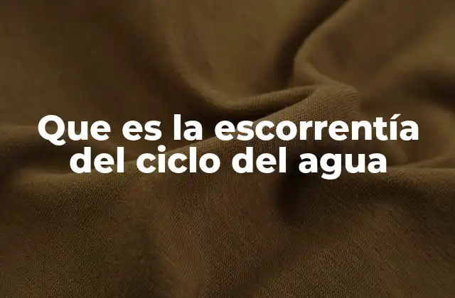 Que es la Escorrentía Del Ciclo Del Agua