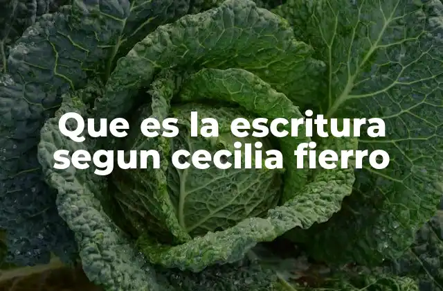 Que es la Escritura Segun Cecilia Fierro