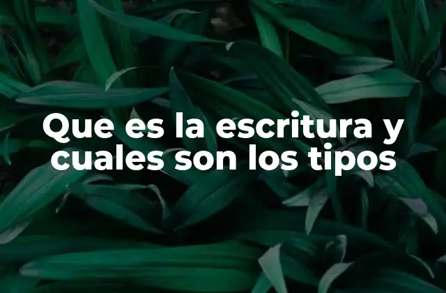 Que es la Escritura y Cuales Son los Tipos