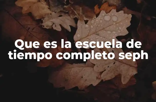 Características esenciales del modelo de tiempo completo