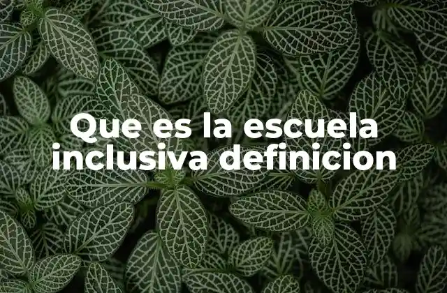 Que es la Escuela Inclusiva Definicion
