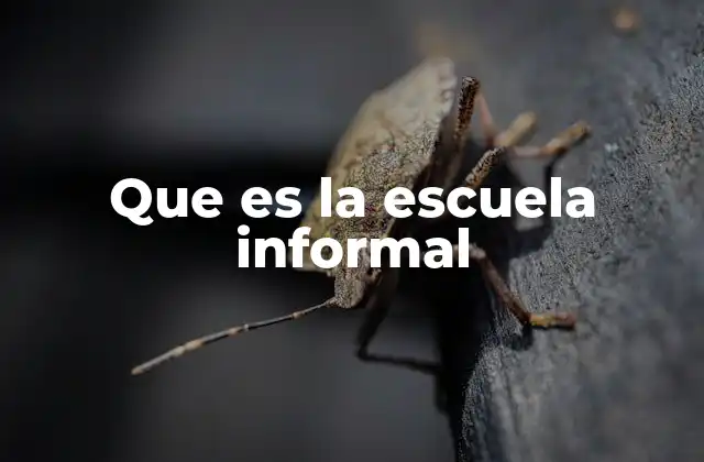 Aprendizaje sin aulas ni horarios