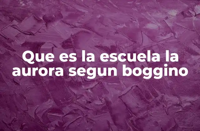 Que es la Escuela la Aurora Segun Boggino