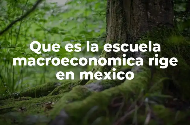 Que es la Escuela Macroeconomica Rige en Mexico 2 Cómo se refleja esta corriente en las políticas públicas mexicanas