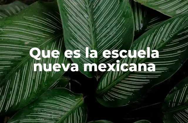 Que es la Escuela Nueva Mexicana