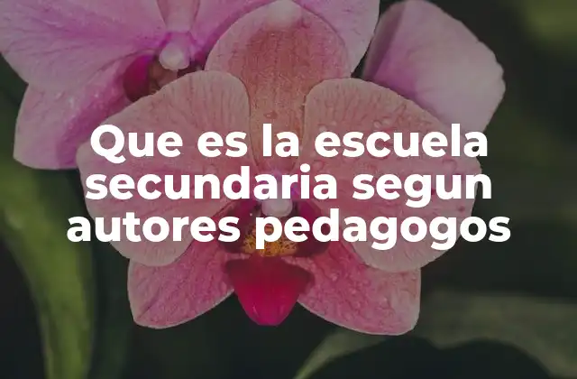 Que es la Escuela Secundaria Segun Autores Pedagogos