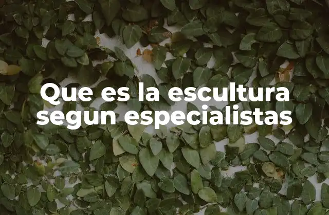 Que es la Escultura Segun Especialistas