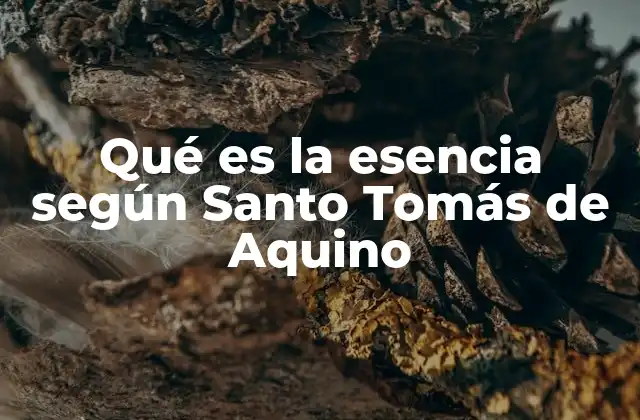 Qué es la Esencia según Santo Tomás de Aquino