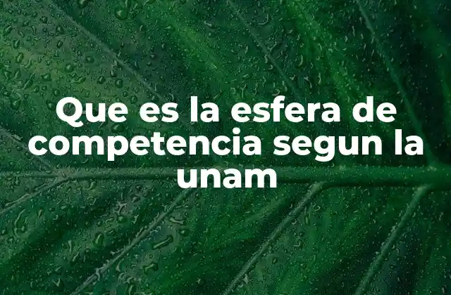 La esfera de competencia y su relevancia en el modelo educativo de la UNAM