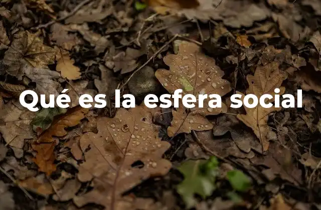Qué es la Esfera Social