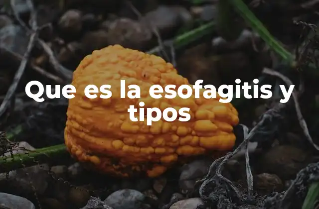 Cómo se desarrolla la esofagitis y sus factores desencadenantes