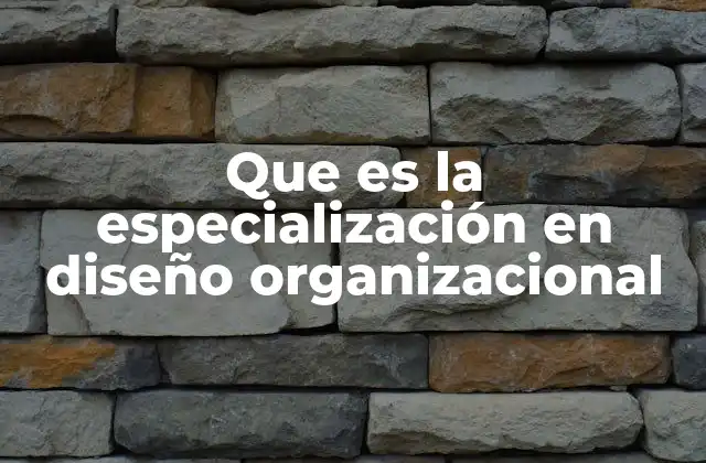 Que es la Especialización en Diseño Organizacional