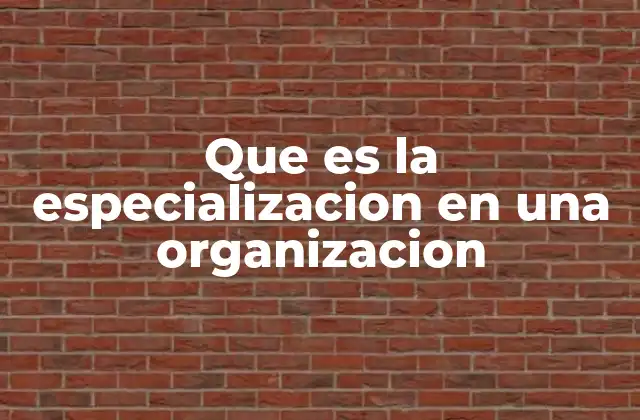 Que es la Especializacion en una Organizacion