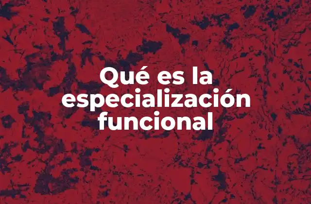 Qué es la Especialización Funcional