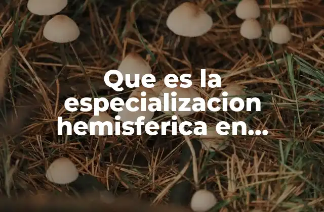 Que es la Especializacion Hemisferica en Psicologia