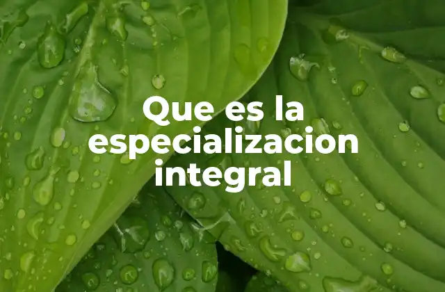Que es la Especializacion Integral