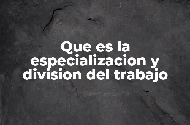 Que es la Especializacion y Division Del Trabajo