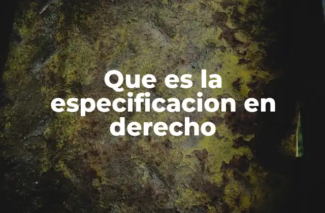 Que es la Especificacion en Derecho