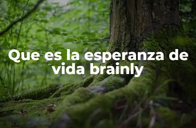 Que es la Esperanza de Vida Brainly