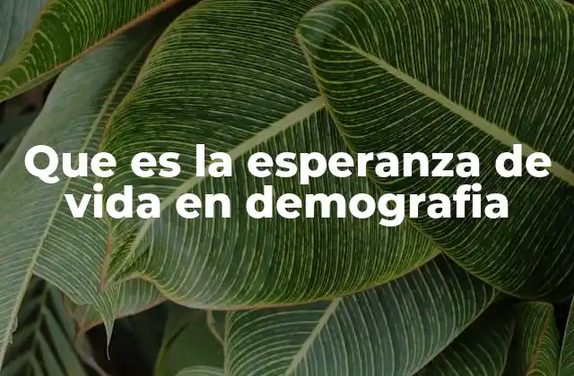 Que es la Esperanza de Vida en Demografia