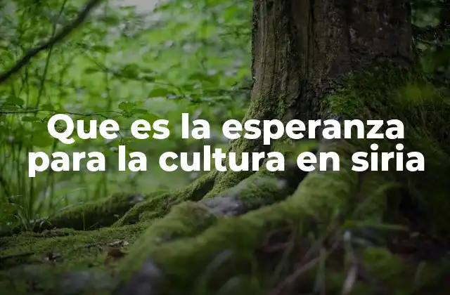 Que es la Esperanza para la Cultura en Siria