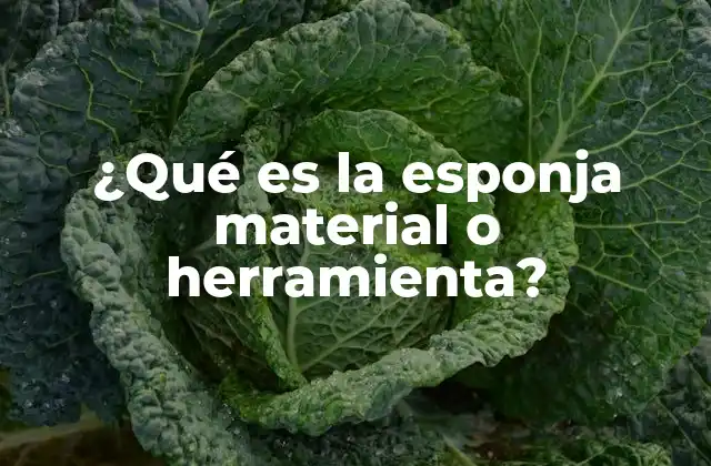 ¿qué es la Esponja Material o Herramienta?
